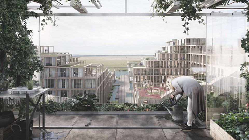 På tagetagen etableres et stort væksthus. | Foto: PR.