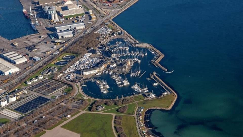 Det ny renseanlæg Rewater skal efter planen ligge på Tangkrogen i Aarhus, hvor to specifikke placeringer fortsat er i spil | Foto: Aarhus Rewater/PR