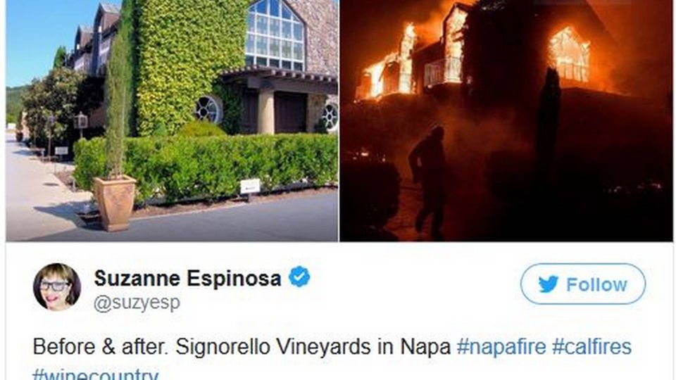 Billedet er taget fra Twitter, og viser en vingård i Napa Valley, hvor en stor del af vinen i Californien dyrkes, som er blevet ramt af de mange skovbrande. | Foto: Twitter