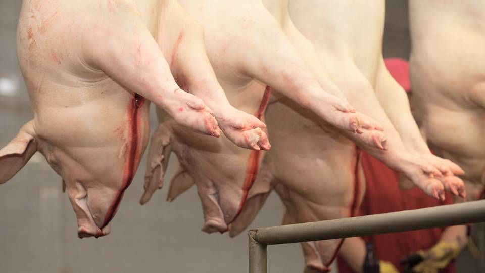 De tyske slagterier er kreative, når det kommer til at omgås reglerne. | Foto: Colourbox