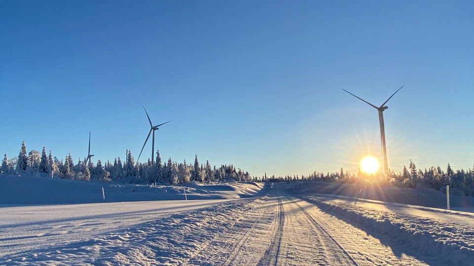 Sweden's Rise as a Hub for Green Hydrogen and Power-to-X Projects