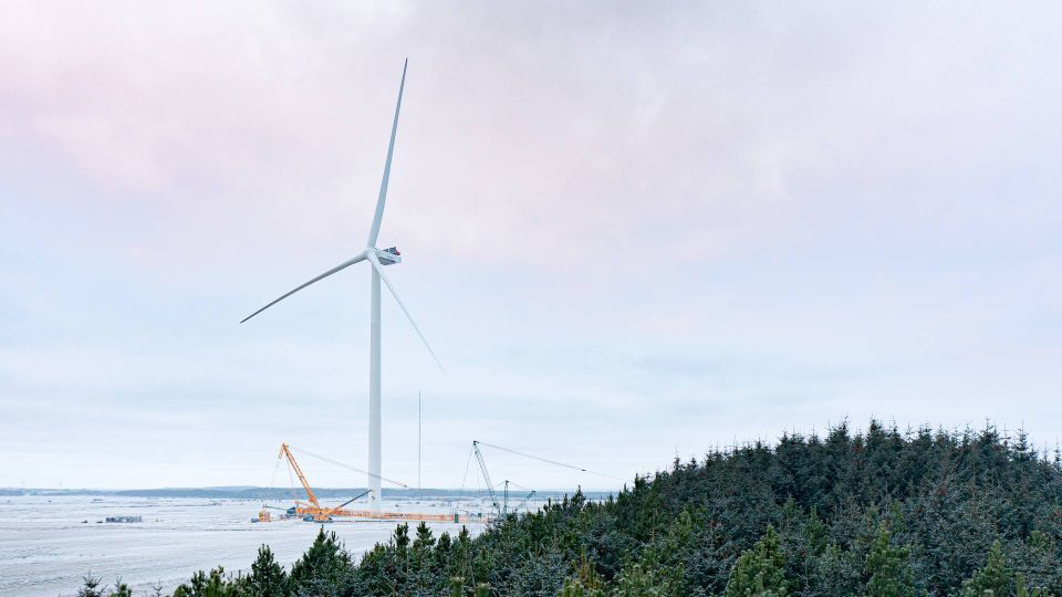 TotalEnergies Joins Dutch Offshore Wind Project to Produce Green Hydrogen