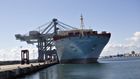 Det kostede Maersk op mod to mia. kr., da rederiet i 2017 blev ramt af det russiske Notpetya-cyberangreb. | Photo: Charlotte de la Fuente
