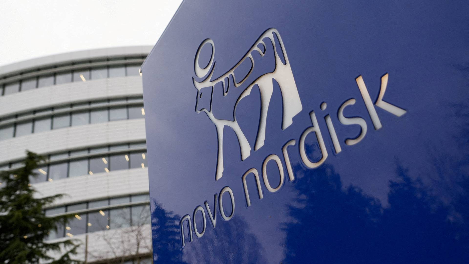 nasal semaglutide Novo Nordisk sees Chinese company announcing plans for semaglutide nasal  spray