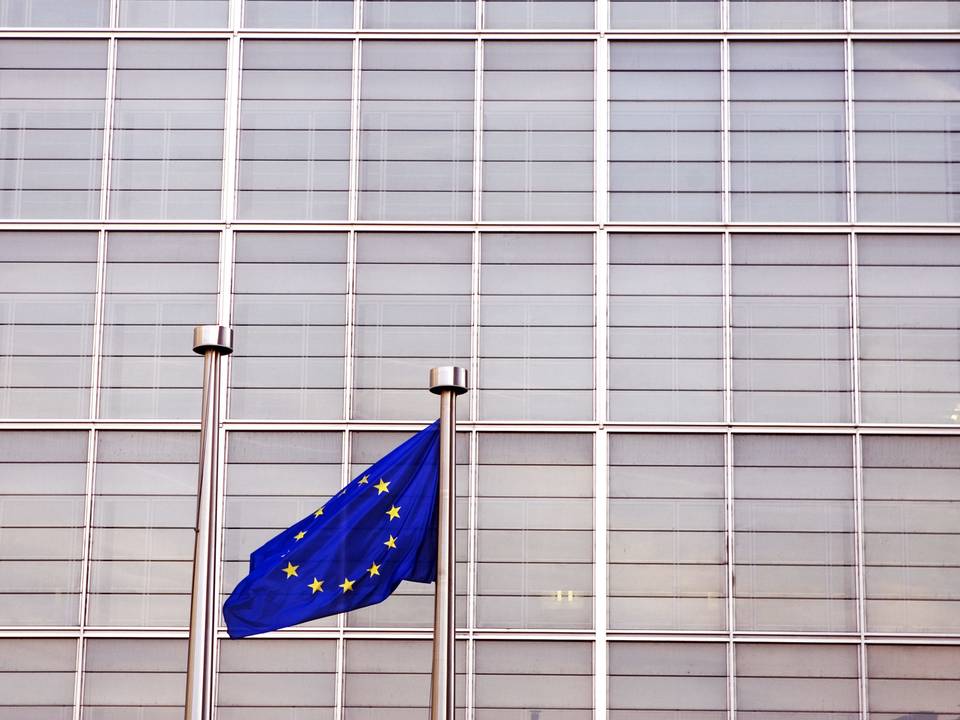 etik vejkryds Encommium Polen og Ungarn prøver skrappe budgetregler ved EU-Domstolen — PolicyWatch