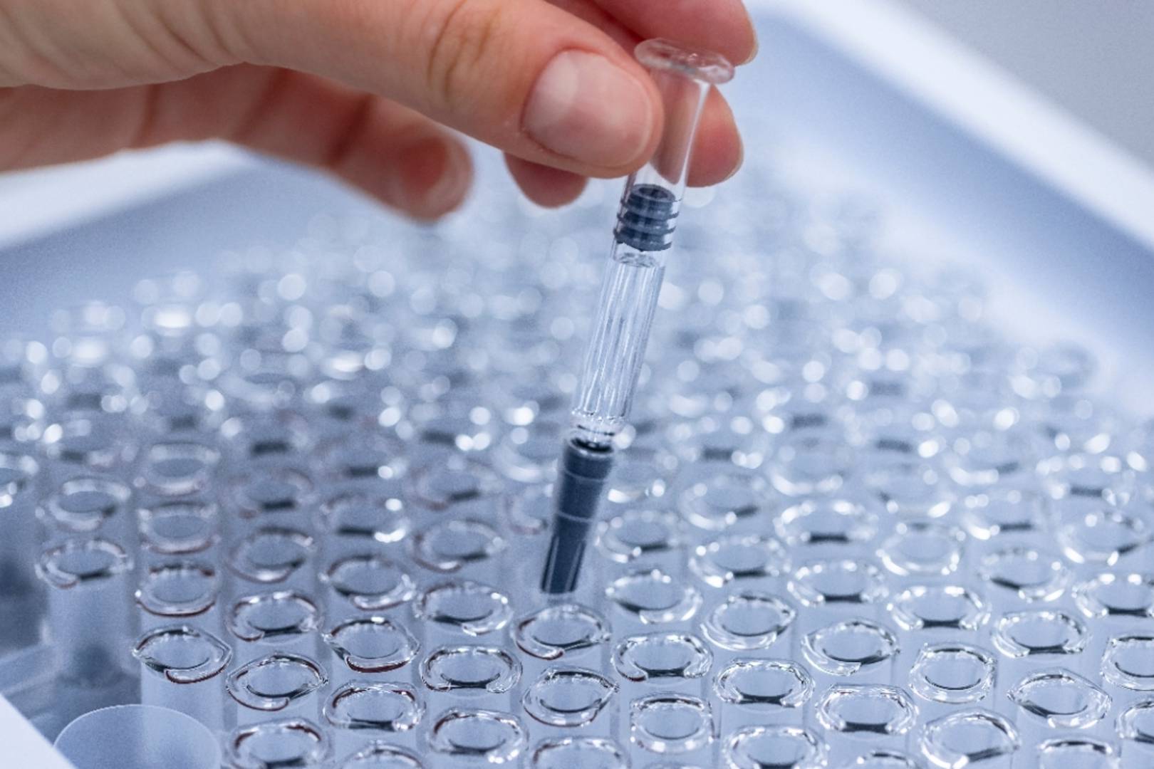 umr semaglutide coverage Does UMR Cover Weight Loss Medication in 2025?