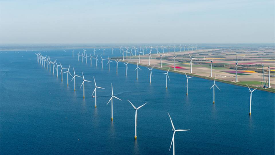 WindparkNoordostpolder.jpg