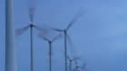 Auch Rechenzentren setzen auf erneurbare Energien. | Foto: picture alliance / dpa-Zentralbild | Stephan Schulz