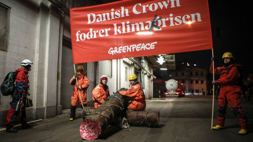 Foto: Pressefoto/Greenpeace