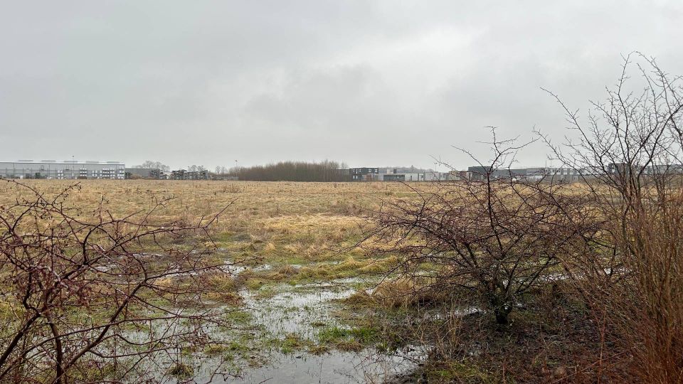 Det er denne bare mark i Benløse, som PAL Property Invest investerede i i 2022. Grunden, der strækker sig over 26.774 kvadratmeter, kostede 10 mio. kroner. | Foto: Mads Oddershede