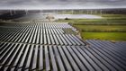 Her ses Nordeuropas største solcellepark betalt af Bestseller. I 2022 slog antallet af nye solcelleparker alle rekorder i Danmark. | Foto: Casper Dalhoff/IND