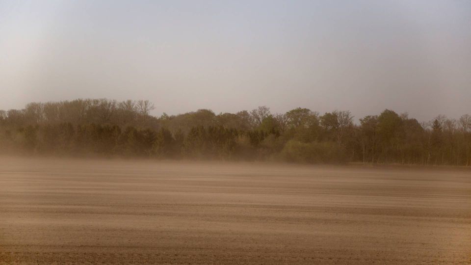 Udsigt til tørke: Bornholmske landmænd kan blive hårdt ramt