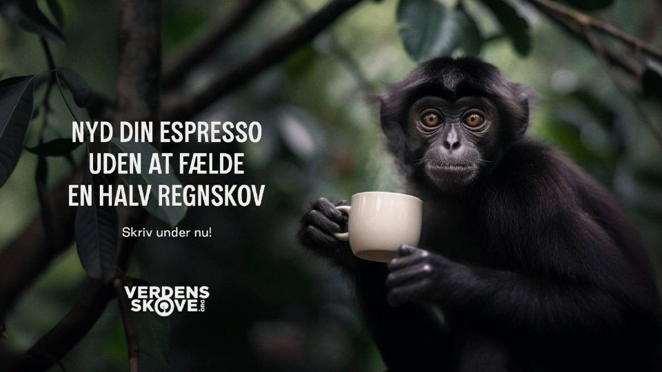 Verdens Skove måtte være kreative i deres kampagne for at sætte fokus på den destruerende kaffeproduktion. | Foto: Rasmus Wejnold Thomsen