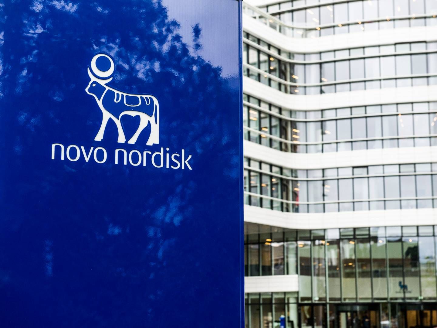 Ново. Novo Nordisk. Novo Nordisk a/s. Novo Nordisk лого. Novo Nordisk GMP.