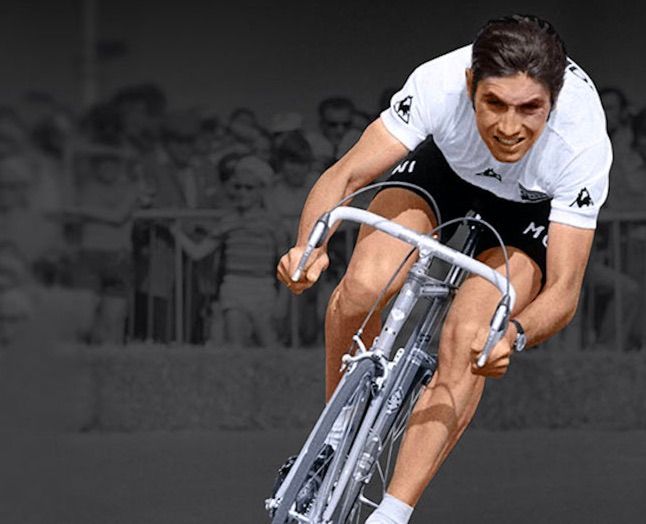 Cykelrytteren over alle cykelryttere, Eddy Merckx, der er blevet et ikon på udholdenhed, styrke og sejrsvilje. Cykelsportens magi blusser op hver sommer før Tour de France. Derfor bringer vi her sæsonens bedste Tour-litteratur.