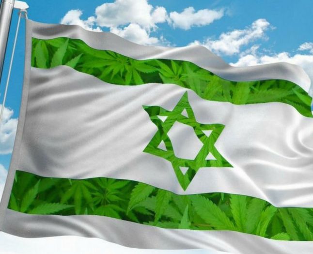 Israelske Telegrass bruger en krypteret platform til at sælge cannabis til mange tusinde brugere. Det er som Uber for urteentusiaster.