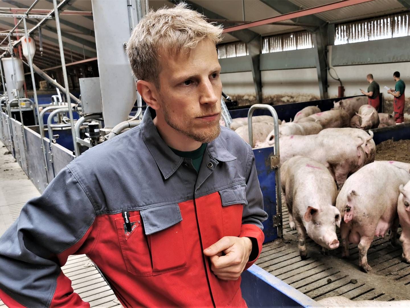 Grundet en lang periode med rentable svinepriser bekymrer det umiddelbart ikke formanden for Danske Svineproducenter, Jeppe Bloch Nielsen, at noteringen nu gør svineproduktion til en dårlig forretning. | Foto: Peter Høyer/Watch Medier