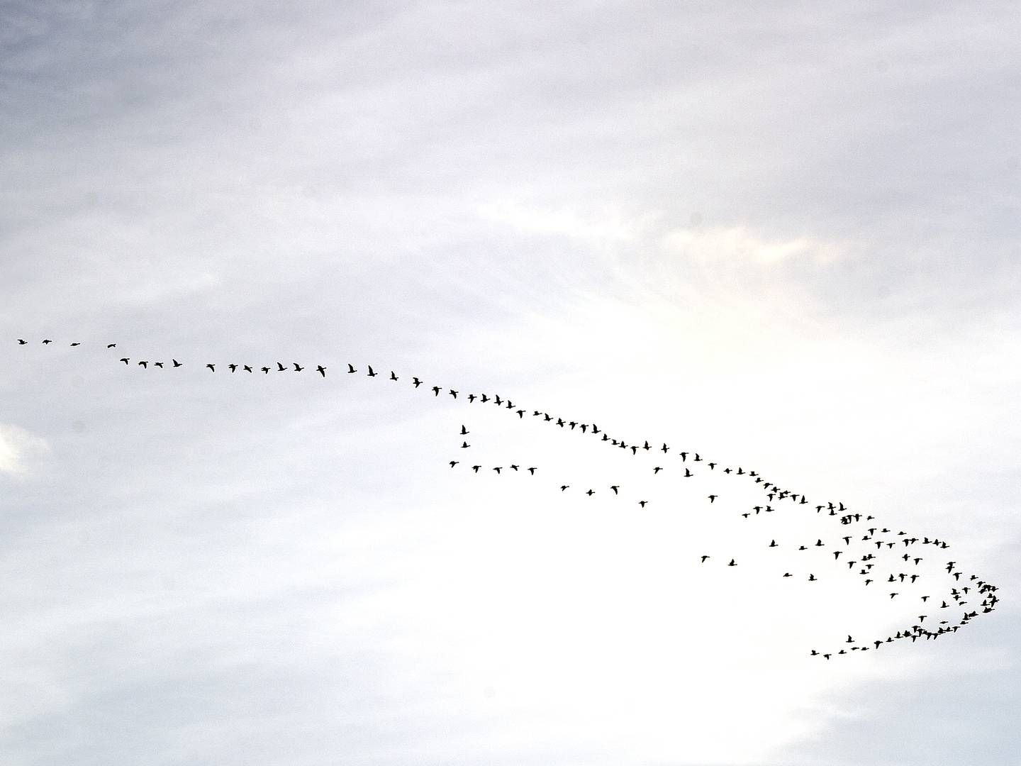 Foto: Carsten Andreasen/PULS