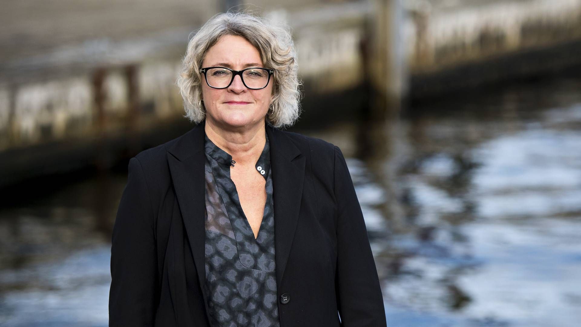 Anne H. Steffensen er adm. direktør i Danske Rederier. | Foto: Danske Rederier - PR