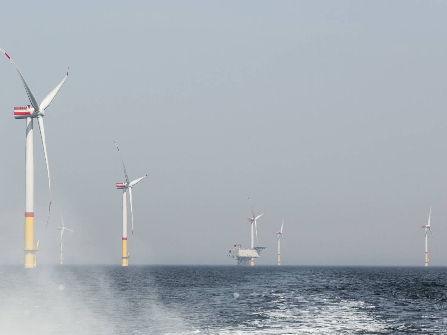 Foto: RWE Renewables/Paul-Langrock.de +49 172 3120 3