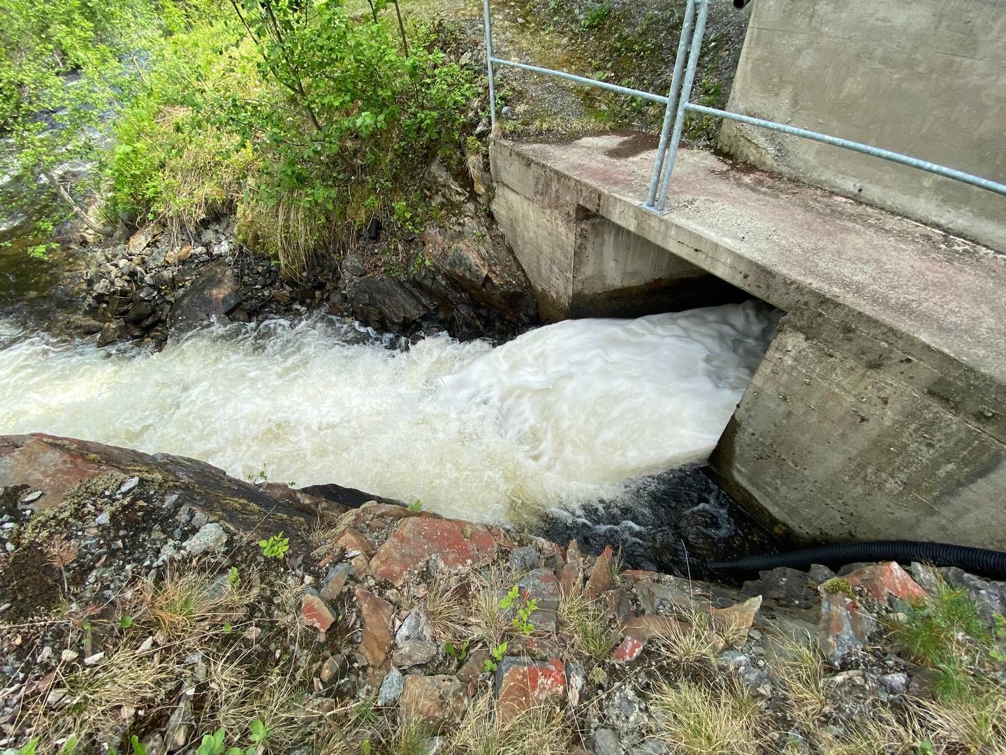 MÅ STANSE: – Hvis man skal ta hensyn til selskapets ve og vel, så må man stoppe produksjonen når prisen går over tre kroner, sier Knut Olav Tveit. | Foto: Anders Lie Brenna