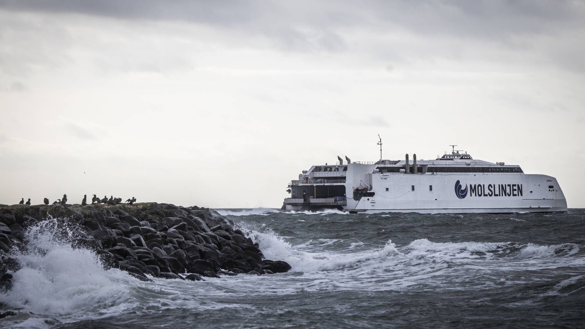 Kapitalfonden Polaris var frem til 2020 majoritetsejer i Molslinjen, da færgeselskabet i december samme år blev solgt til EQT Infrastructure. | Foto: Jens Hartmann