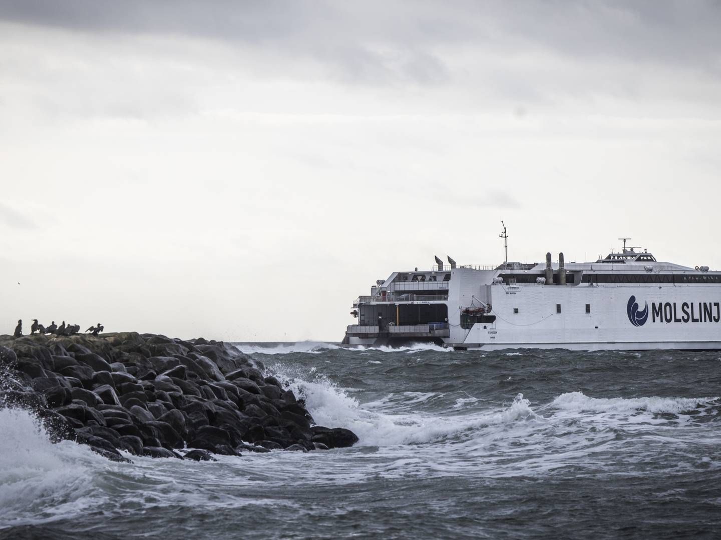 Kapitalfonden Polaris var frem til 2020 majoritetsejer i Molslinjen, da færgeselskabet i december samme år blev solgt til EQT Infrastructure. | Foto: Jens Hartmann