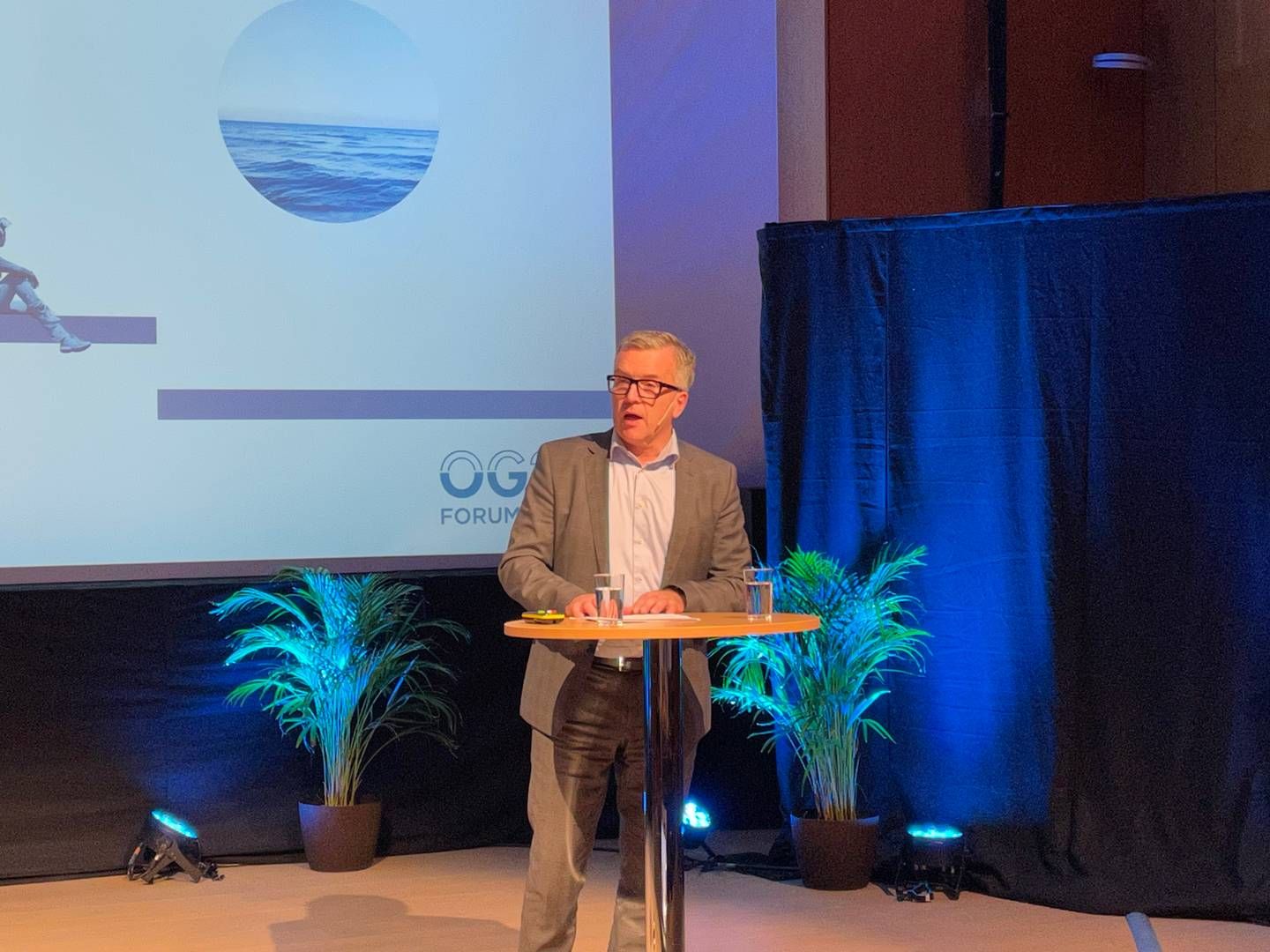 SKEPTISK: Erik Wærness, sjefsøkonom i Equinor, under konferansen på Lysaker. | Foto: Lars Heltne
