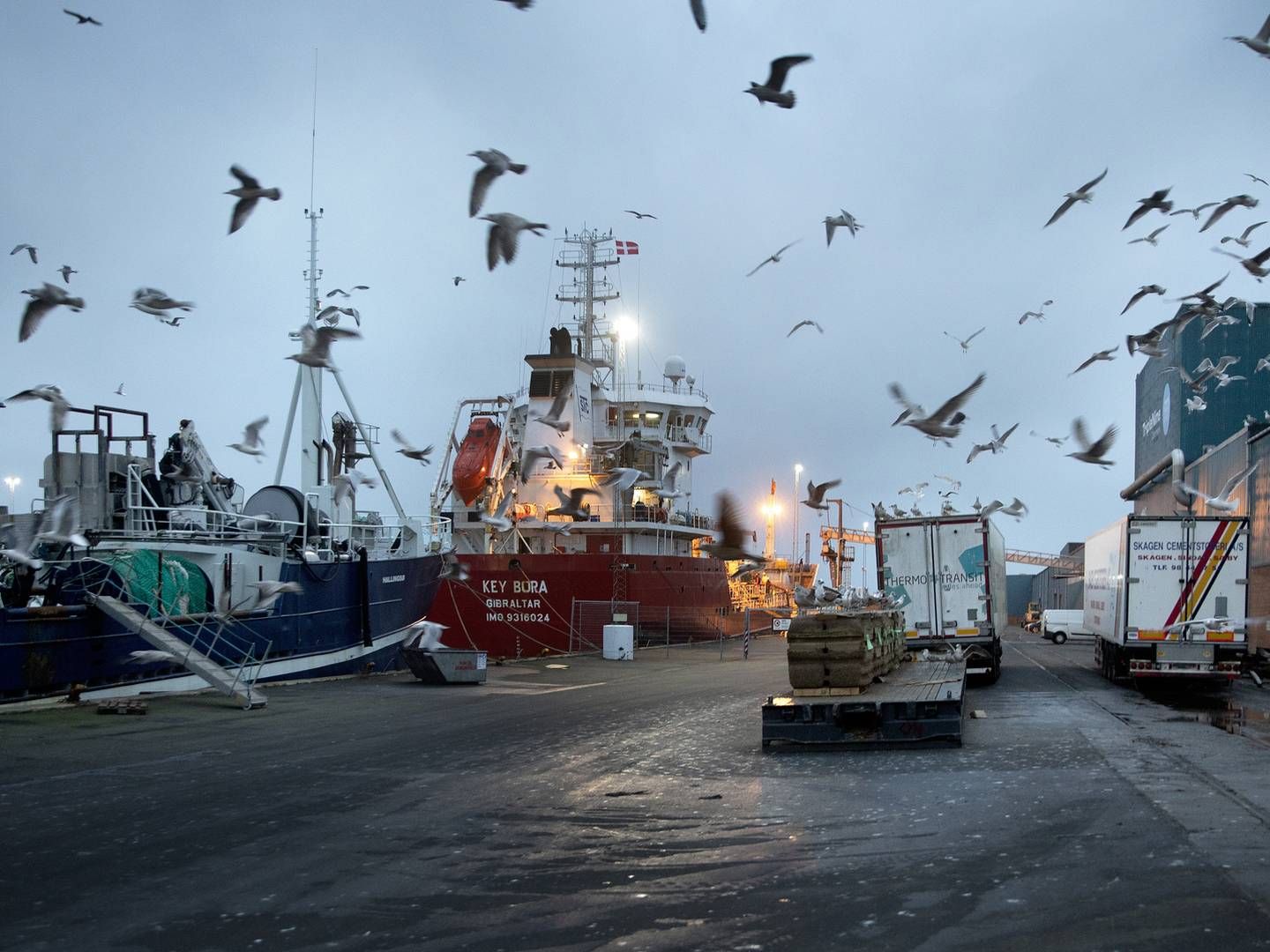 Vestre Landsret mener, der ikke er hjemmel til straf for snyd med fiskekvoter. | Foto: Finn Frandsen