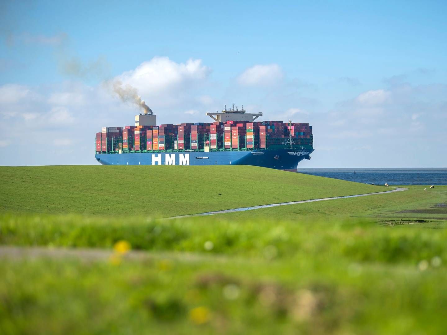 Det sydkoreanske containerrederi HMM er verdens ottende største målt på kapacitet. Ifølge analysehuset Alphaliner råder rederiet 76 skibe med en kapacitet på ca. 818.000 teu. | Foto: Sina Schuldt/AP/Ritzau Scanpix