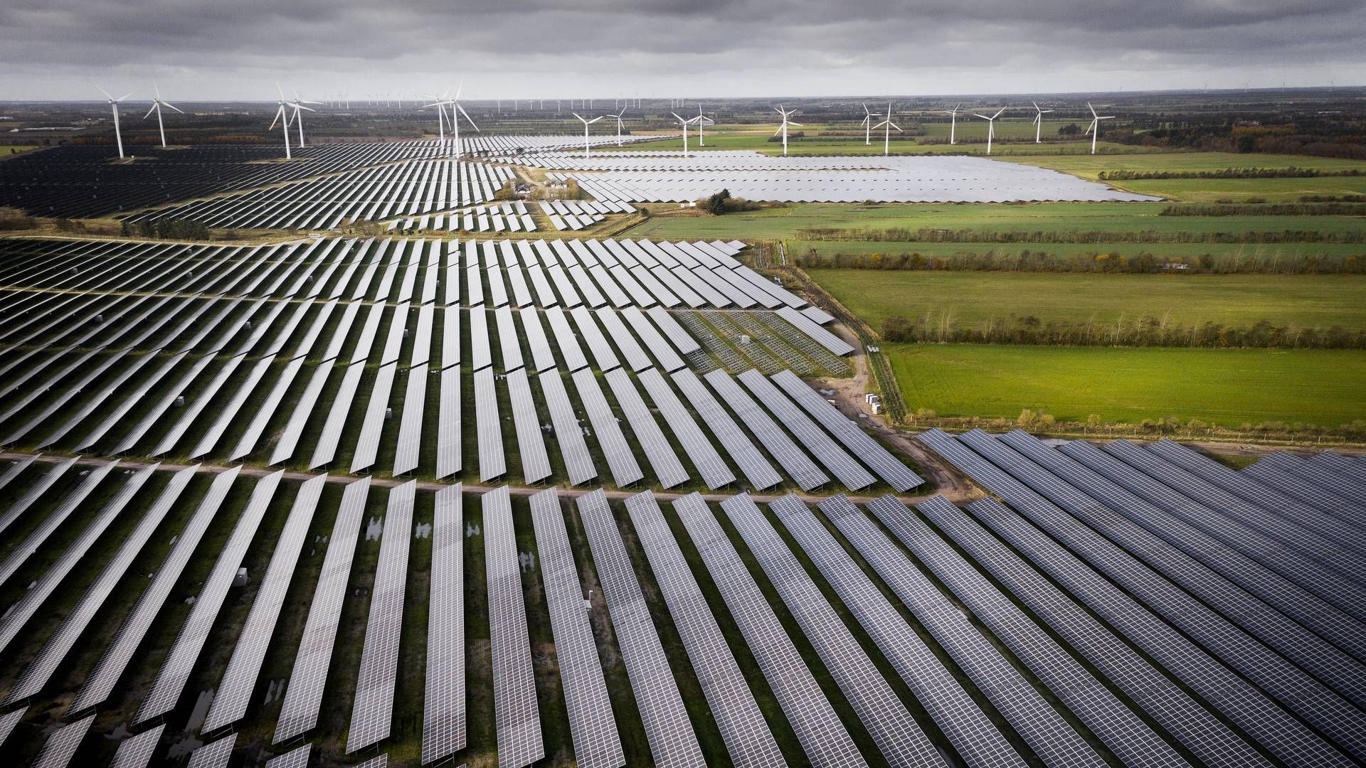 Her ses Nordeuropas største solcellepark betalt af Bestseller. I 2022 slog antallet af nye solcelleparker alle rekorder i Danmark. | Foto: Casper Dalhoff/IND