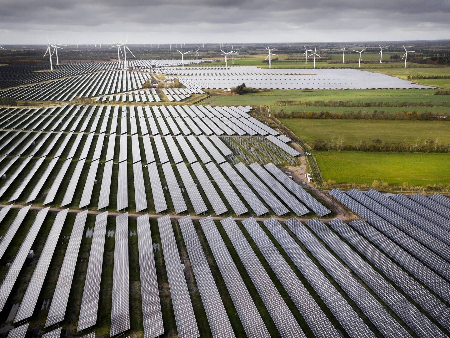 Her ses Nordeuropas største solcellepark betalt af Bestseller. I 2022 slog antallet af nye solcelleparker alle rekorder i Danmark. | Foto: Casper Dalhoff/IND