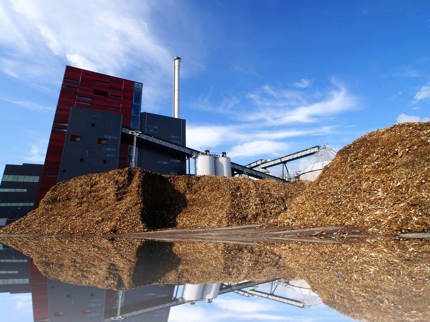 Biomasse vil blive underlagt et dynamisk prisloft, når EU's el-loft skal udmøntes i dansk lovgivning, lyder forslaget fra embedsapparatet, men der bør ikke diskrimineres mellem elproducenterne, lyder det fra Dansk Erhverv. | Foto: Concito