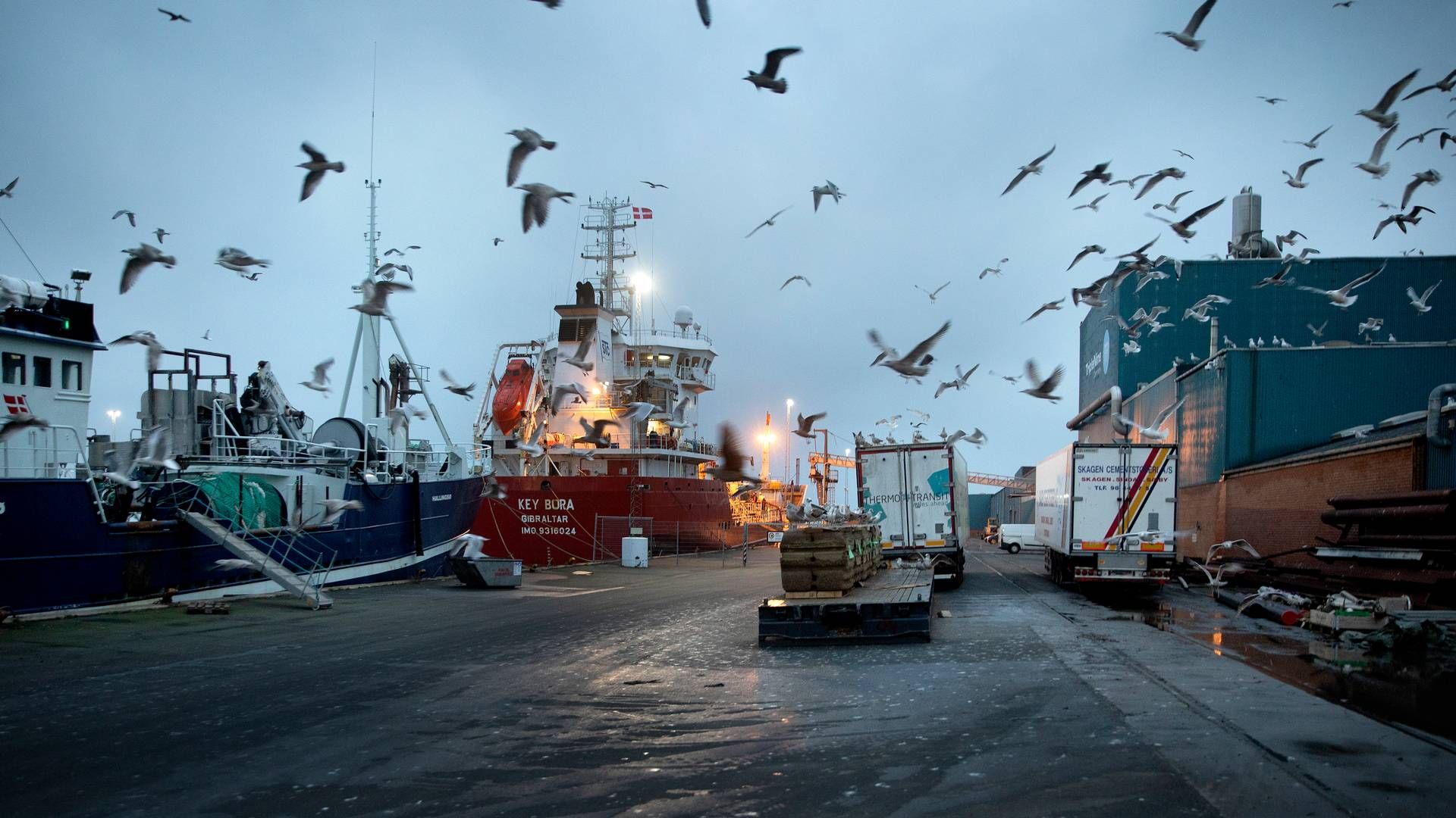 Sag om fiskekvoter kommer ikke i Højesteret. | Foto: Finn Frandsen