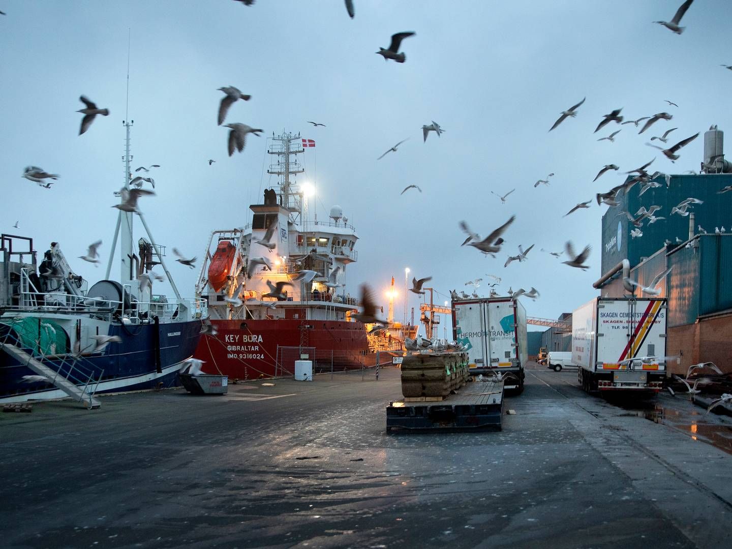 Sag om fiskekvoter kommer ikke i Højesteret. | Foto: Finn Frandsen