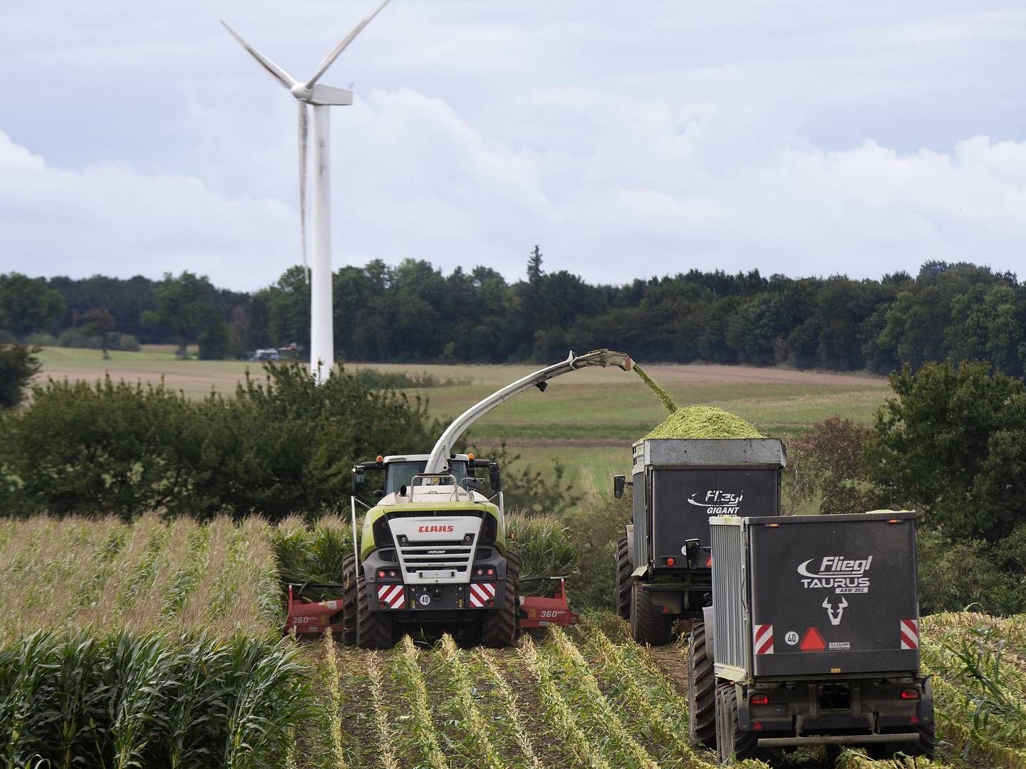 The NCREIF Farmland Index for private market farmland investments was up by 6.2% year-to-date at the end of Q3 in USD terms. The iShares MSCI Global Agriculture Producers ETF is up by 11.17% year-to-date compared to -16.47% for the overall equity market. | Photo: Finn Frandsen