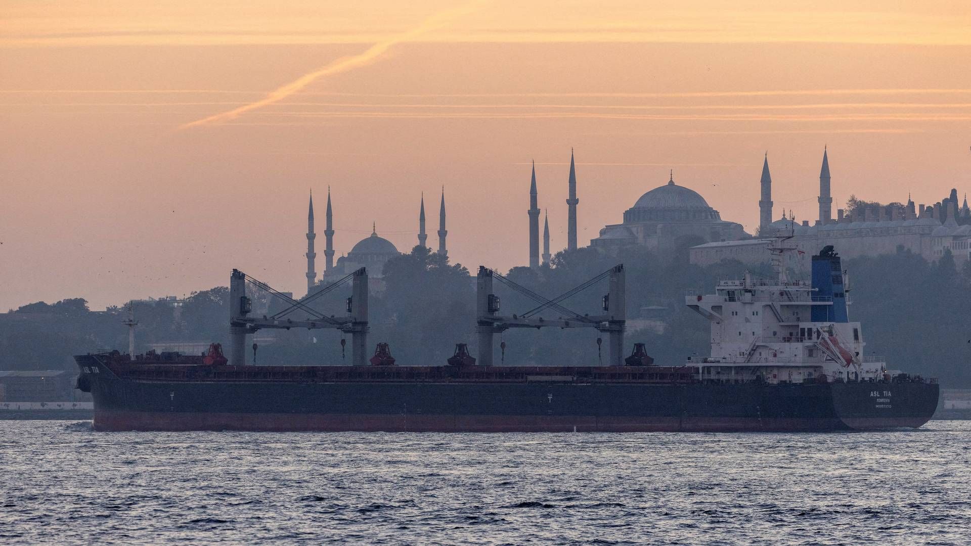 Skibet på billedet er ikke et af de omtalte skibe, der kan forbindes til RIF Trading House. | Foto: Umit Bektas/Reuters/Ritzau Scanpix/REUTERS / X90076