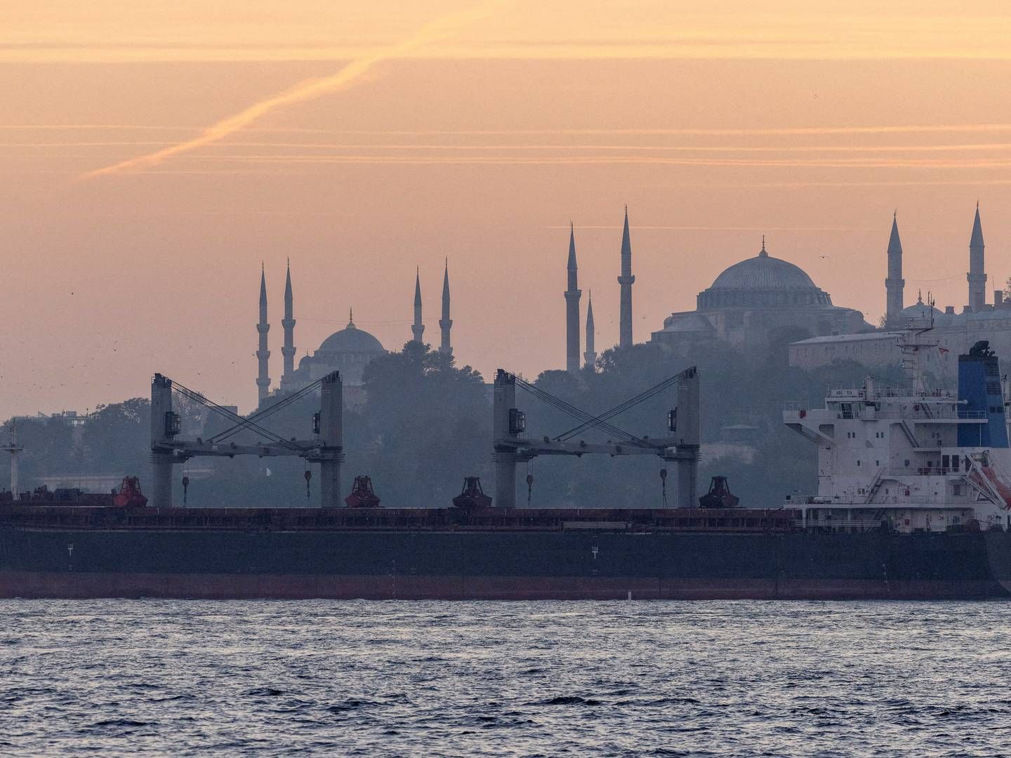 Skibet på billedet er ikke et af de omtalte skibe, der kan forbindes til RIF Trading House. | Foto: Umit Bektas/Reuters/Ritzau Scanpix/REUTERS / X90076