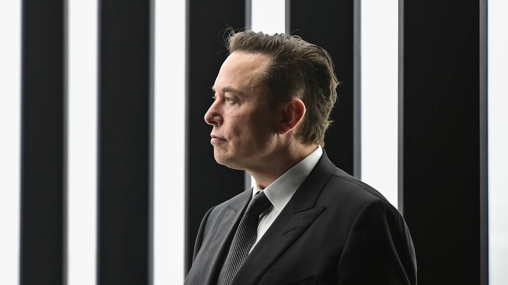 UNDER LUPEN: Neuralink og administrerende direktør Elon Musk er under etterforskning etter at dokumenter og interne klager har skapt mistanke om dyreplageri og unødig død under dyreforsøk. | Foto: Patrick Pleul/Pool/AP/NTB
