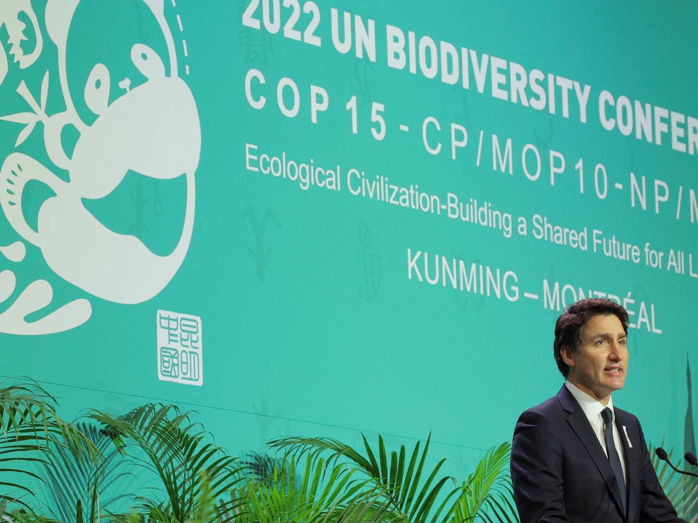 Canadian Prime Minister Justin Trudeau at the opening of the COP15 biodiversity summit.