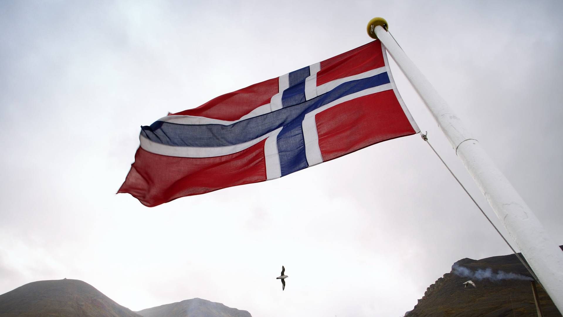 Norske advokater havde et godt år i 2021. | Foto: Morten Langkilde