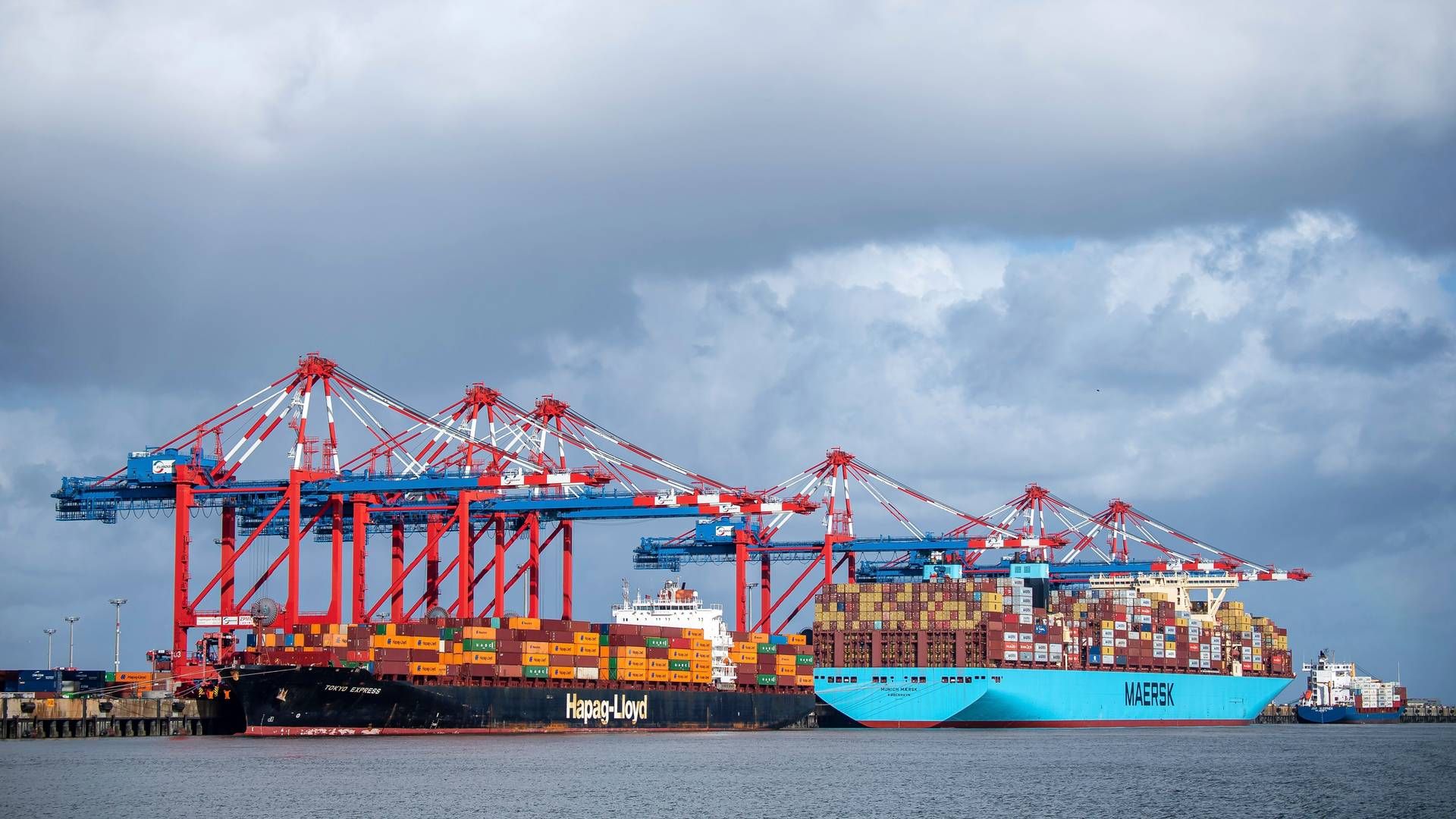 Containerrederier som tyske Hapag-Lloyd og danske Maersk har tjente mange penge i 2021 og 2022, men skal ifølge Bimco vænne sig til, at der bliver mindre efterspørgsel på transport til næste år. | Foto: Sina Schuldt/AP/Ritzau Scanpix