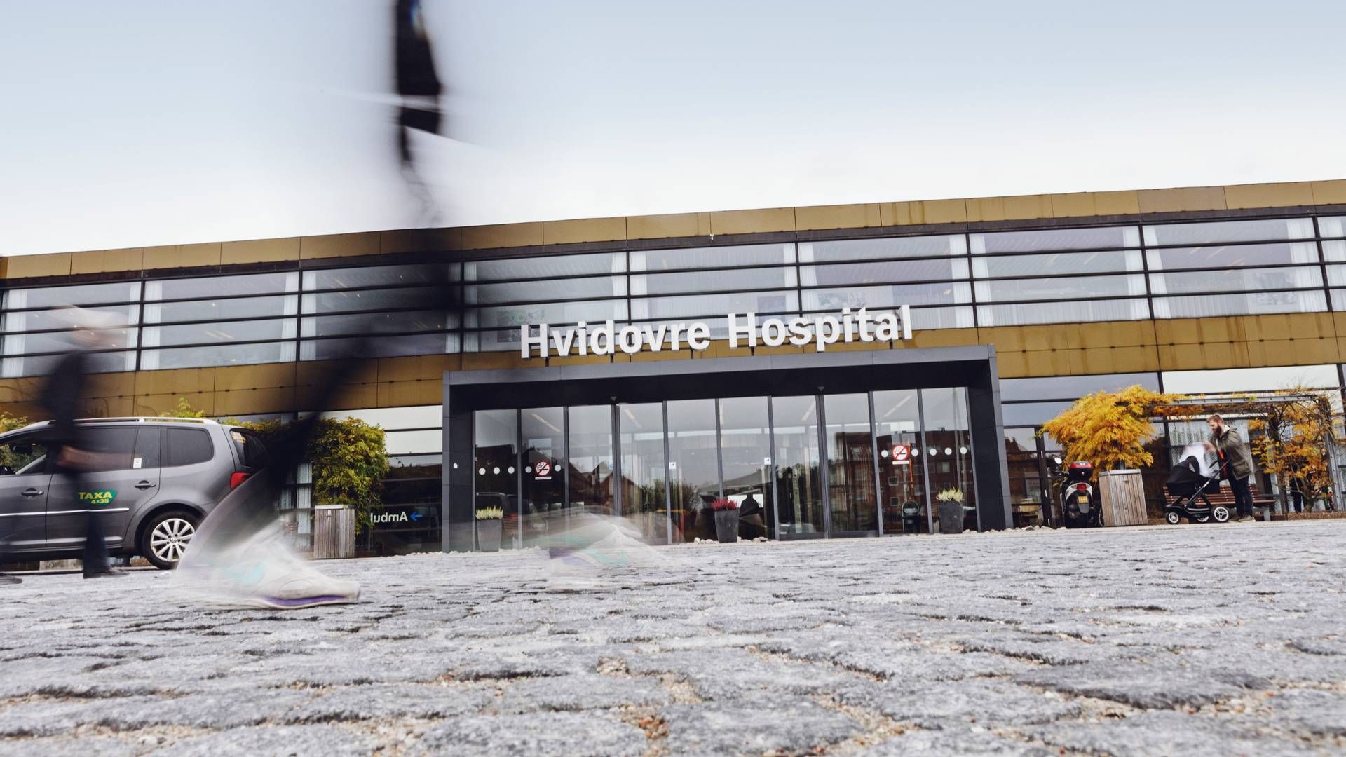 Sten Madsblad er professor på endokrinologisk afdeling på Hvidovre Hospital. | Foto: Hvidovre Hospital / PR