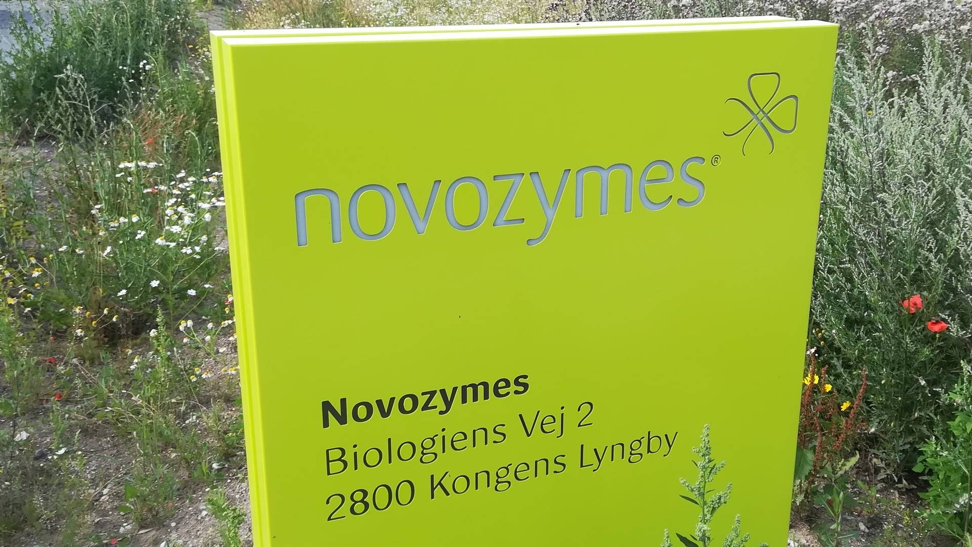 Novozymes er storebror i fusionen, men der ligger nyt navn og fælles brand i kortene. | Foto: Martin Havtorn Petersen / Watch Medier