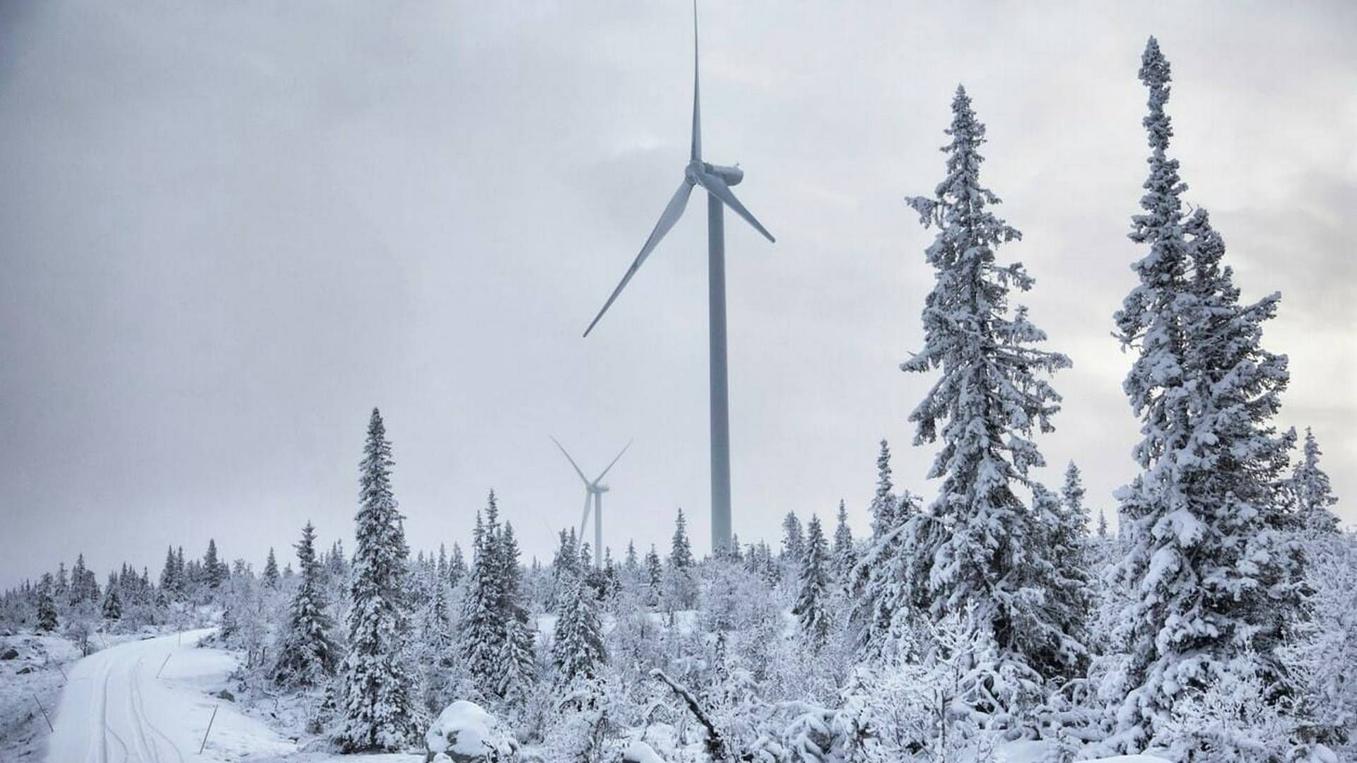 ANSTRENGT: Finland kan nå maksprisen på strømbørsen ifølge energiselskapet Väre. Også gassforbruket nærmer seg maks tilgjengelig kapasitet. | Foto: Väre