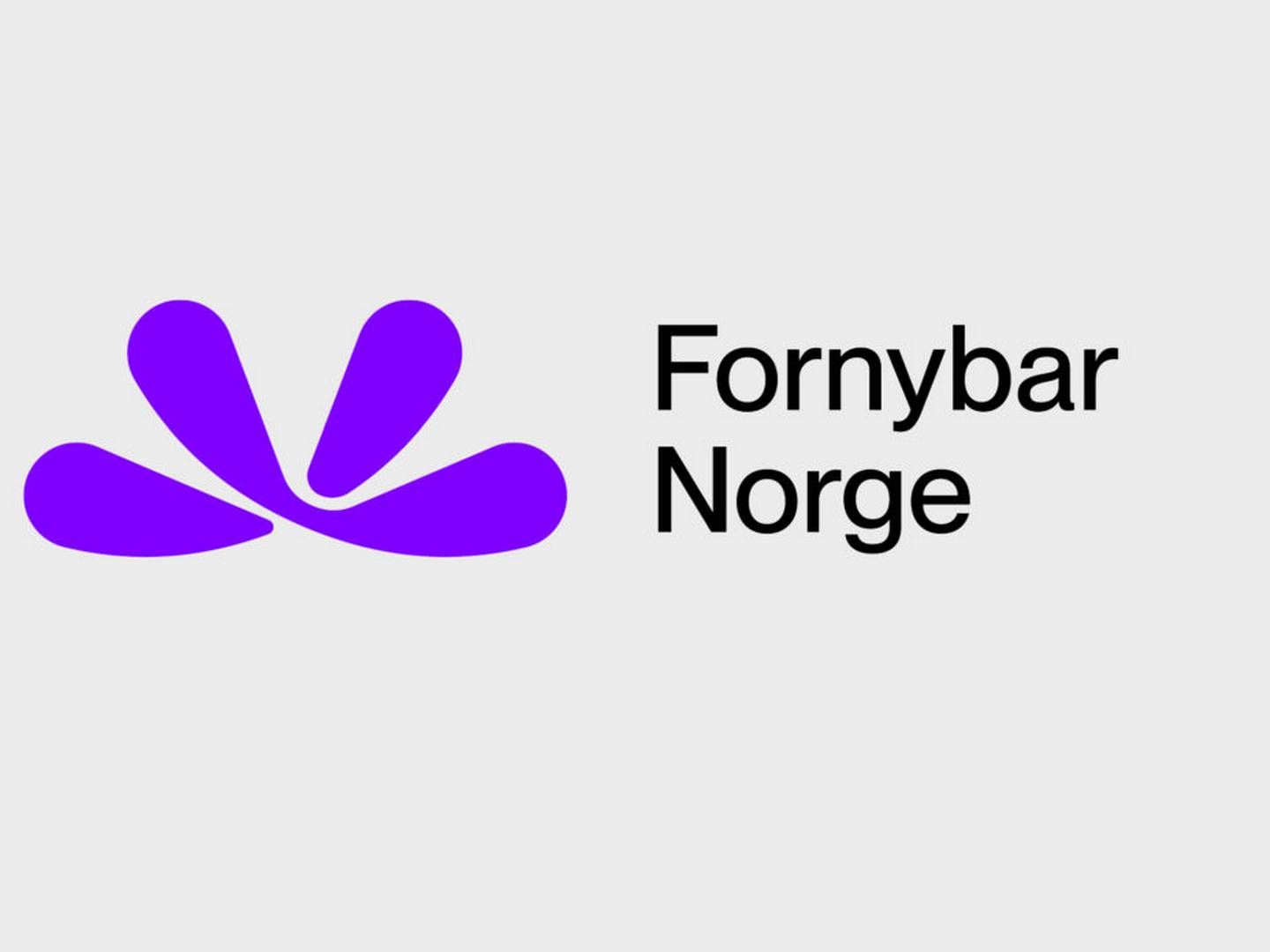 48 prosent støtter at «Norge bør følge EUs ambisjoner for fornybar energi og klima», i en undersøkelse Norstat har gjort på vegne av Fornybar Norge.