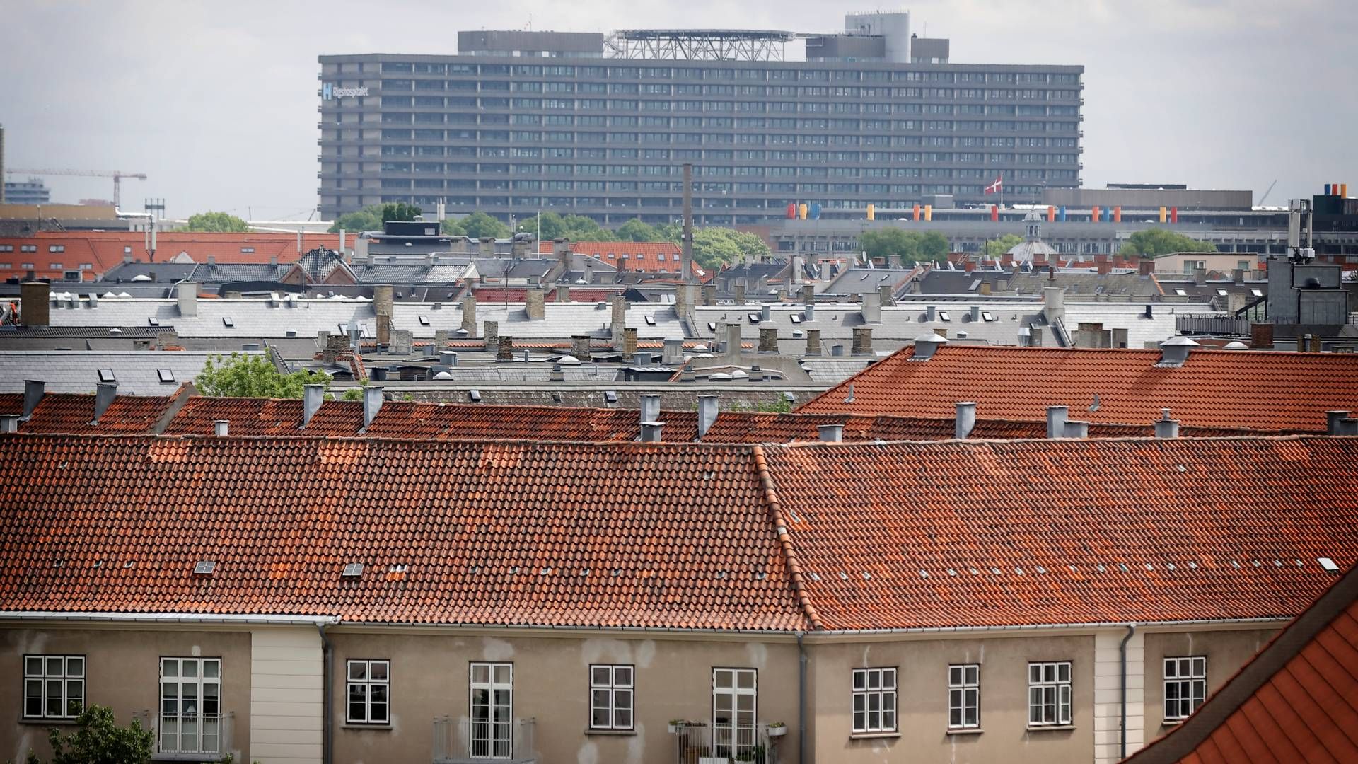 Medicinrådet anbefaler regionerne at bruge Eli Lillys nye middel mod atopisk eksem. | Foto: Jens Dresling