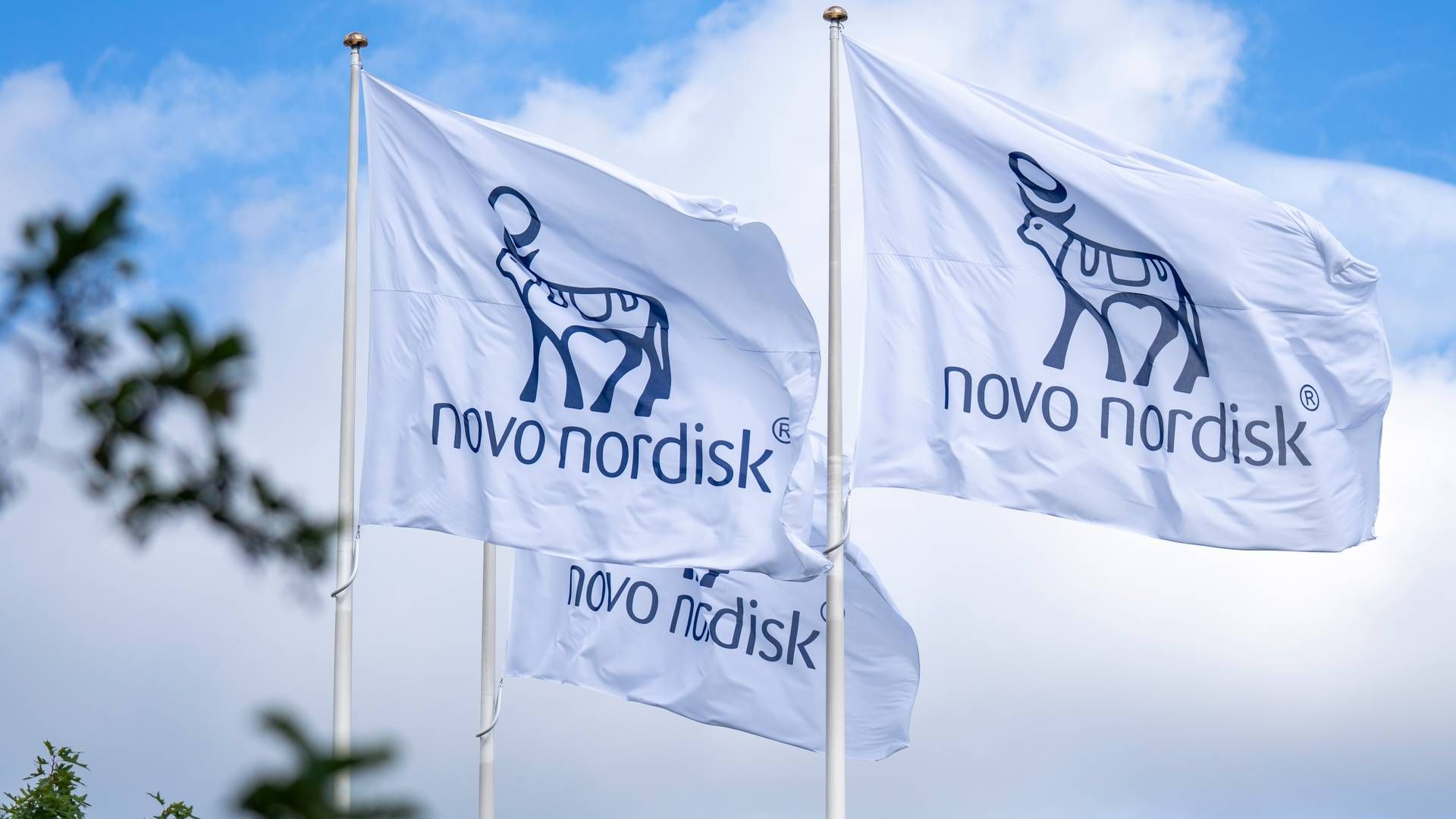 Novo Nordisk investerer milliardbeløp i fransk fabrikk
