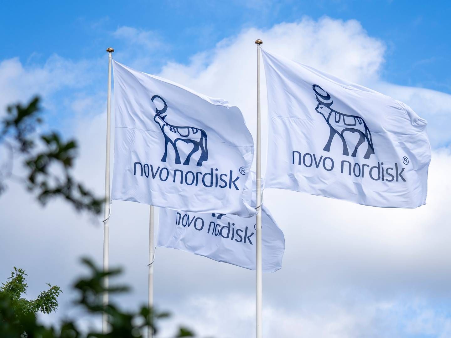 Photo: Novo Nordisk