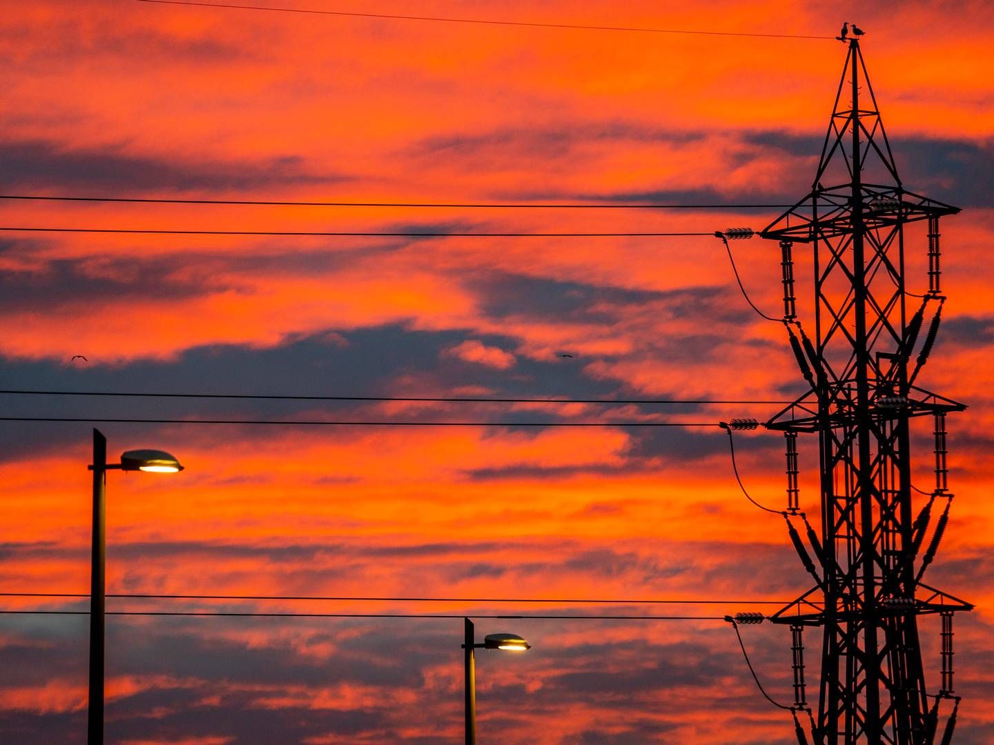 30 MILLIARDER: Regjeringen tror strømstøtten vil utgjøre 30 milliarder i år, og 44,7 milliarder neste år. | Foto: Håkon Mosvold Larsen / NTB